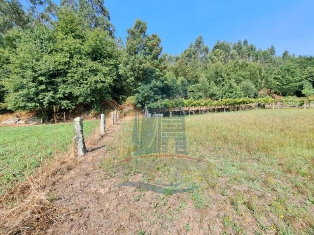 Terreno venda em Arca e Ponte de Lima, Boalhosa