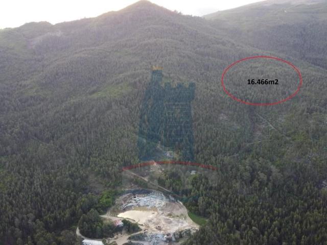 Terreno venda em Arca e Ponte de Lima, Boalhosa
