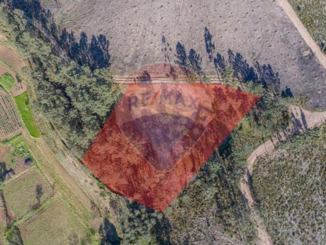 Terreno venda em Arca e Ponte de Lima, Boalhosa