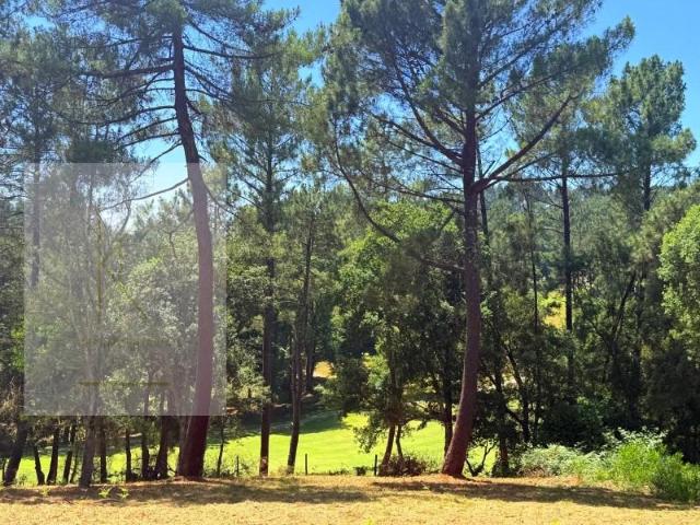 Terreno venda em Arca e Ponte de Lima, Ponte de Lima