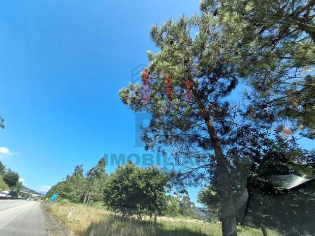 Terreno venda em Arca e Ponte de Lima, Boalhosa