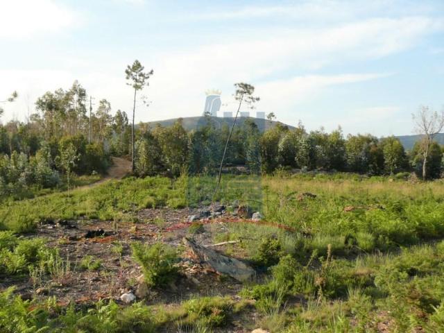 Terreno venda em Arca e Ponte de Lima, Boalhosa