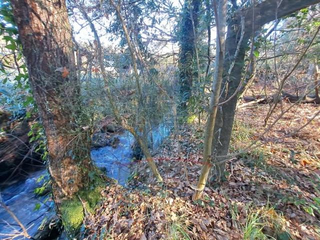 Terreno venda em Arca e Ponte de Lima, Boalhosa