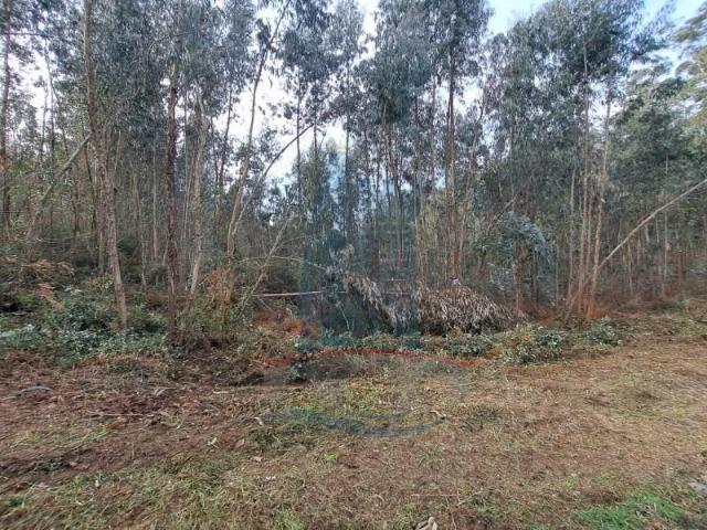 Terreno venda em Arca e Ponte de Lima, Boalhosa
