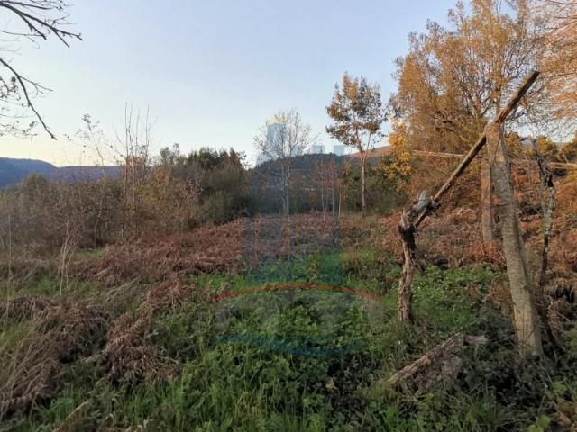 Terreno venda em Arca e Ponte de Lima, Boalhosa