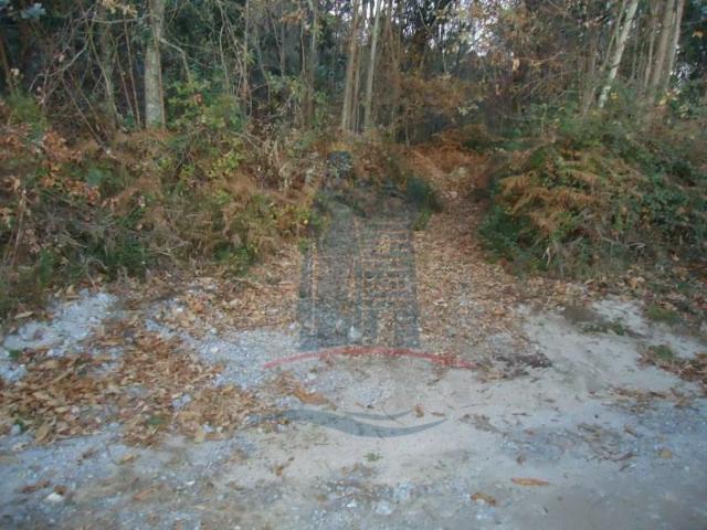 Terreno venda em Arca e Ponte de Lima, Boalhosa
