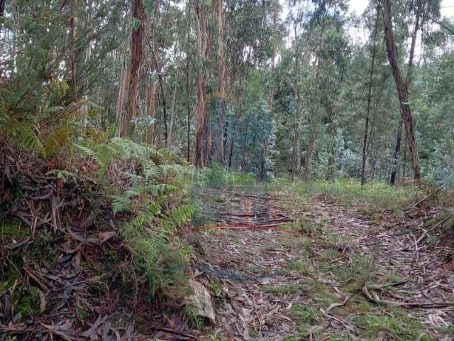 Terreno venda em Arca e Ponte de Lima, Boalhosa