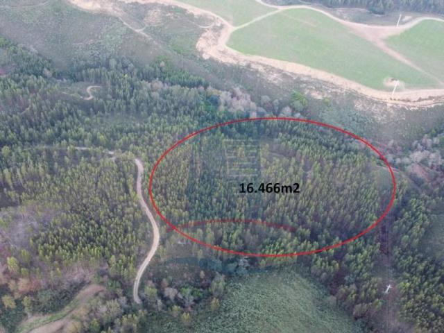 Terreno venda em Arca e Ponte de Lima, Boalhosa