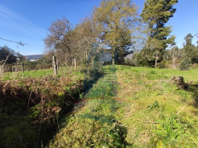 Terreno venda em Arca e Ponte de Lima, Boalhosa