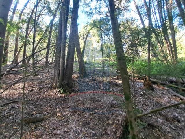 Terreno venda em Arca e Ponte de Lima, Boalhosa