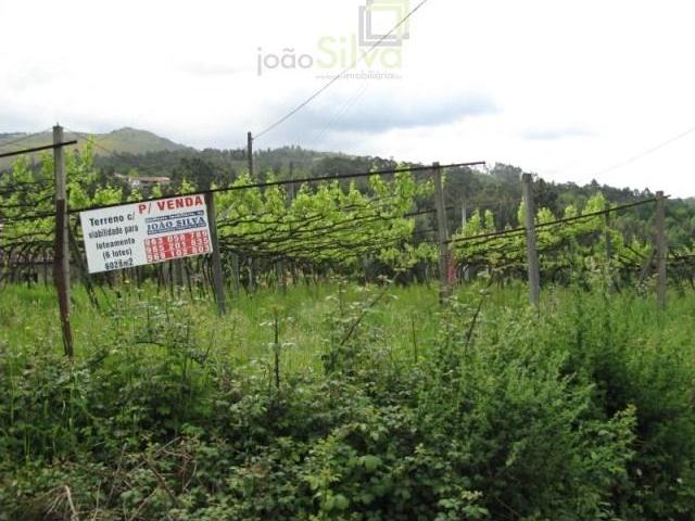 Terreno venda em Arca e Ponte de Lima, Ponte de Lima
