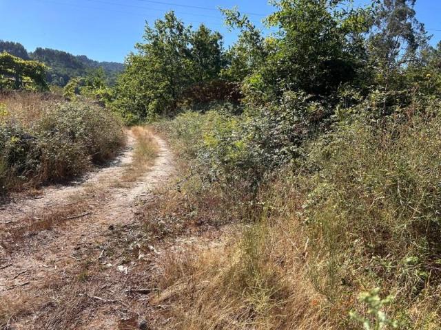 Terreno venda em Arca e Ponte de Lima, Ponte de Lima