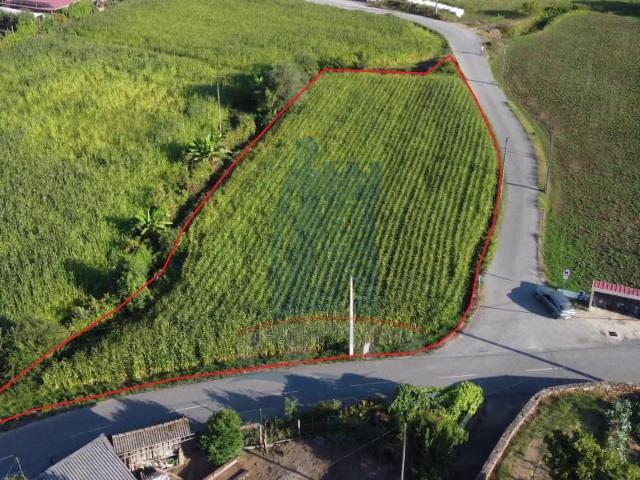 Terreno venda em Arca e Ponte de Lima, Ponte de Lima