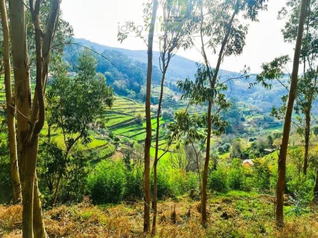 Casa venda em Arca e Ponte de Lima, Boalhosa