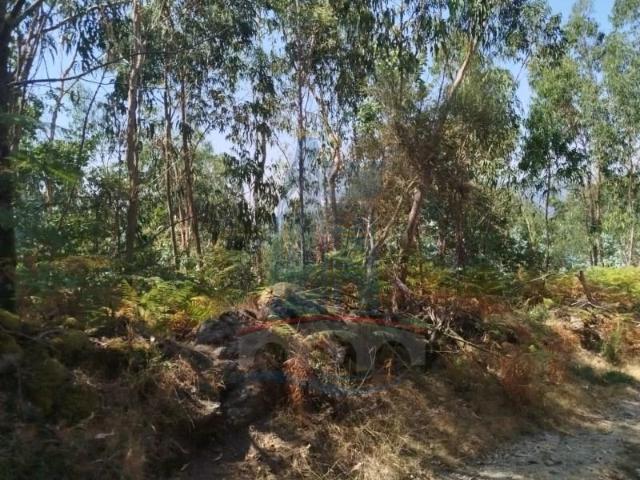 Terreno venda em Arca e Ponte de Lima, Ponte de Lima