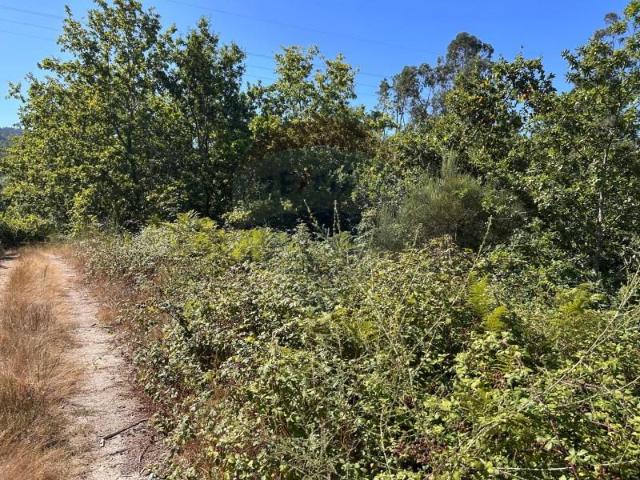 Terreno venda em Arca e Ponte de Lima, Ponte de Lima