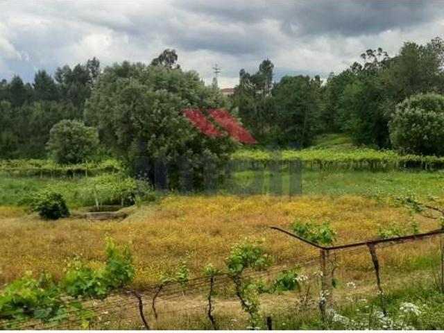 Terreno venda em Arca e Ponte de Lima, Ponte de Lima