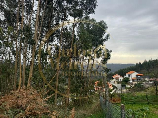 Terreno venda em Arca e Ponte de Lima, Boalhosa