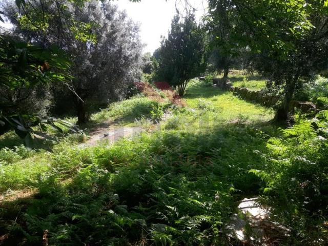 Terreno venda em Arca e Ponte de Lima, Boalhosa