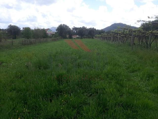Terreno venda em Arca e Ponte de Lima, Boalhosa