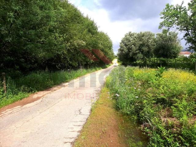 Terreno venda em Arca e Ponte de Lima, Boalhosa