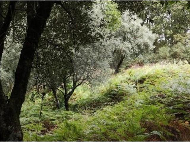 Terreno venda em Boalhosa, Viana Do Castelo