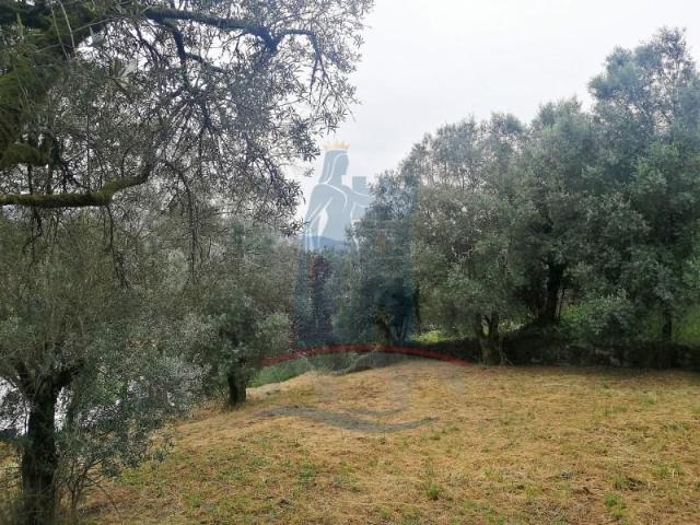 Terreno venda em Arca e Ponte de Lima, Boalhosa
