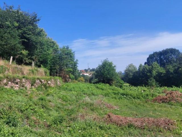 Terreno venda em Arca e Ponte de Lima, Boalhosa