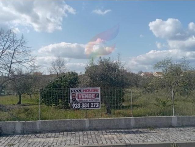 Terreno venda em Ponte de Sor