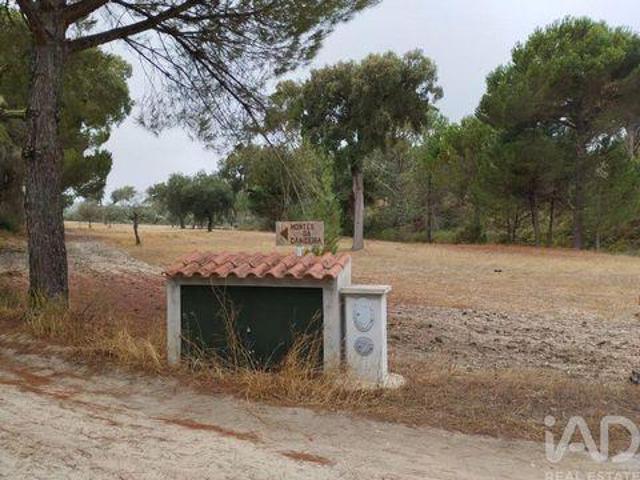 Terreno venda em Ponte De Sor, Portalegre