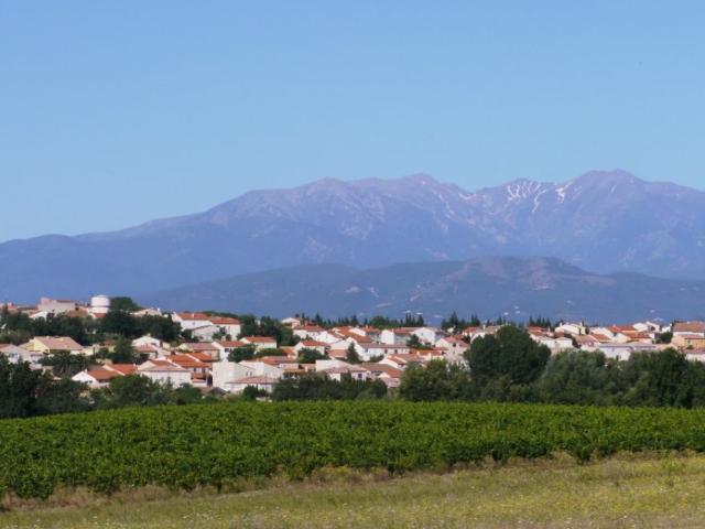 Terrain vente à Perpignan, Ponteilla