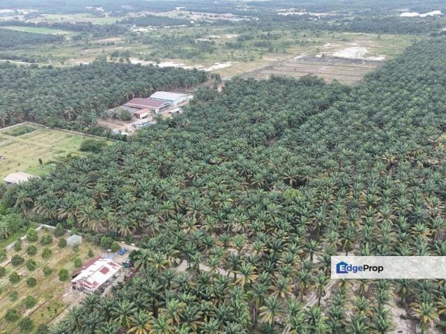 Shop for sale in Pontian, Johor
