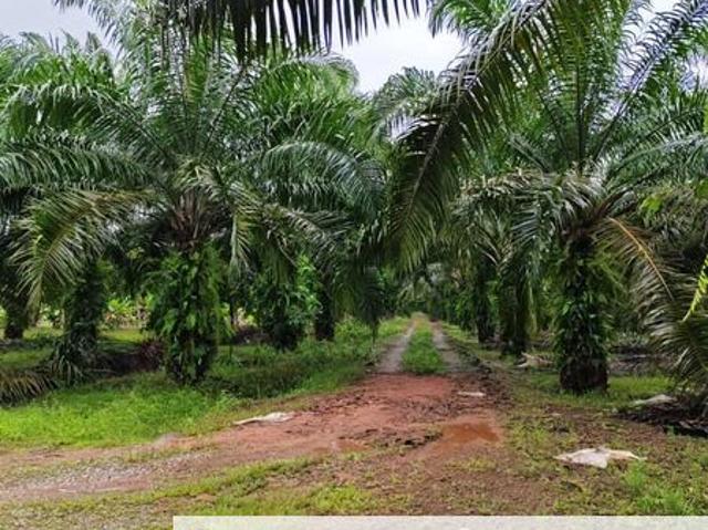 Shop for sale in Pontian, Johor