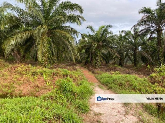 House for sale in Pontian, Johor