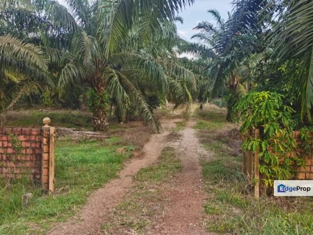 Shop for sale in Pontian, Johor