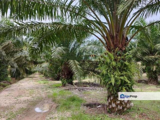 Shop for sale in Pontian, Johor
