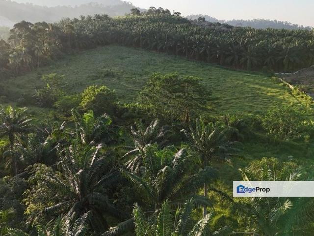 House for sale in Pontian, Johor