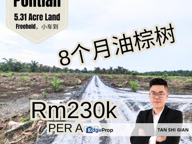 House for sale in Pontian, Johor