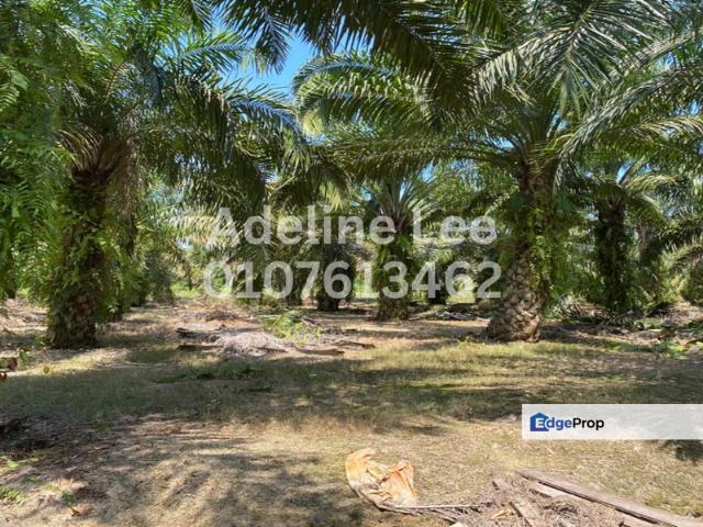 Shop for sale in Pontian, Johor