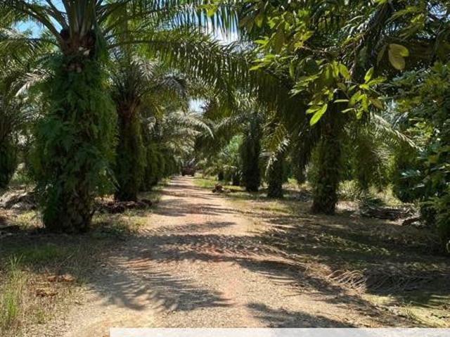 Shop for sale in Pontian, Johor