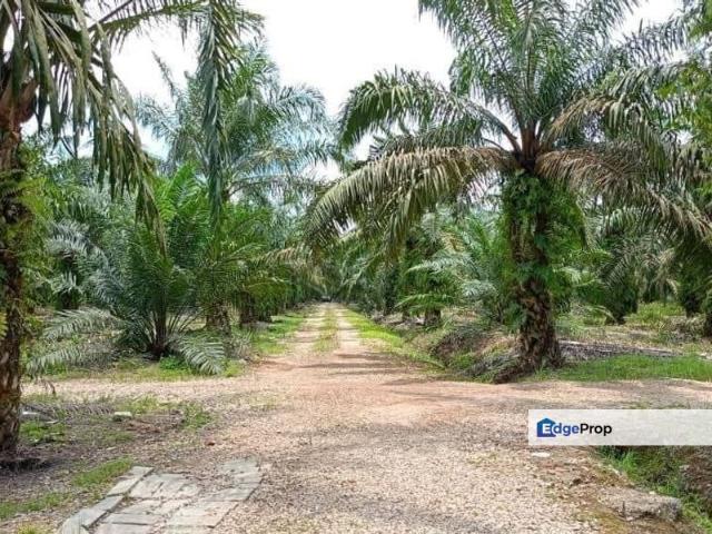 Shop for sale in Pontian, Johor