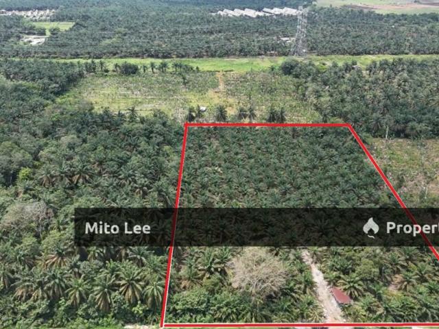 Property for sale in Pontian, Johor