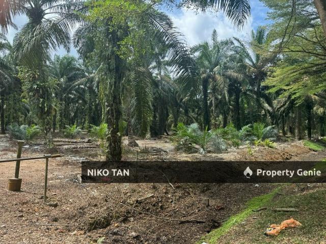 Property for sale in Pontian, Johor