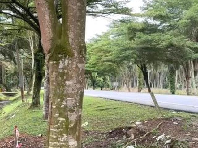 House for sale in Pontian, Johor