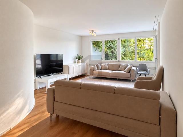 Apartment mieten in Dierikon, Lü