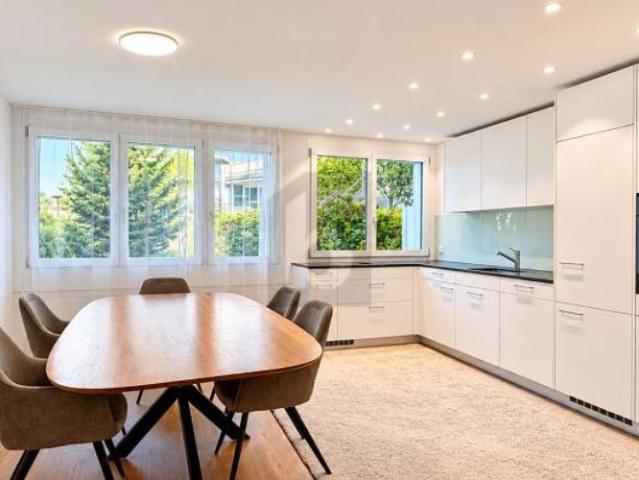 Apartment mieten in Dierikon, Lü