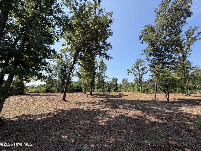 Land for sale in Blythe, Richmond County