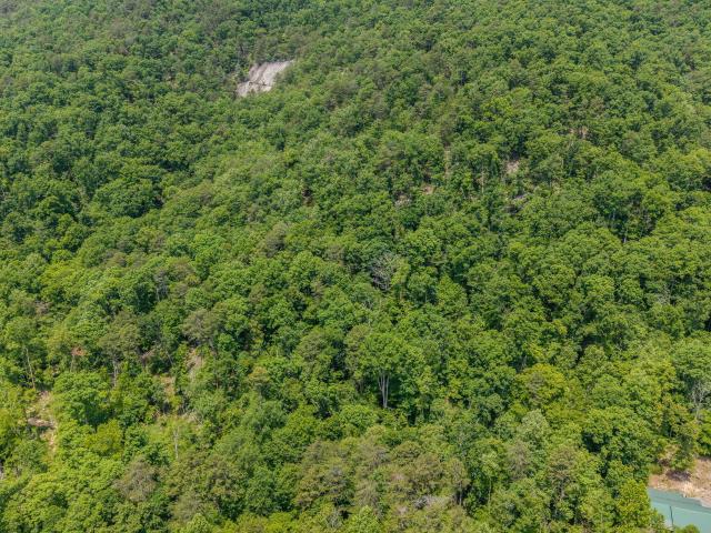 Land for sale in Tennessee