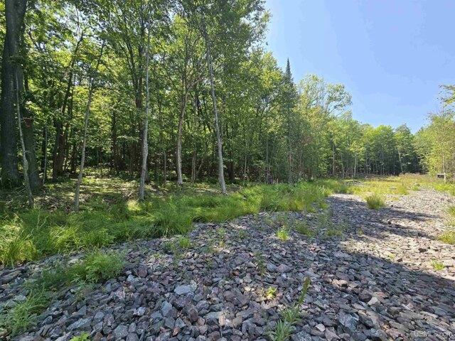 Land for sale in Houghton