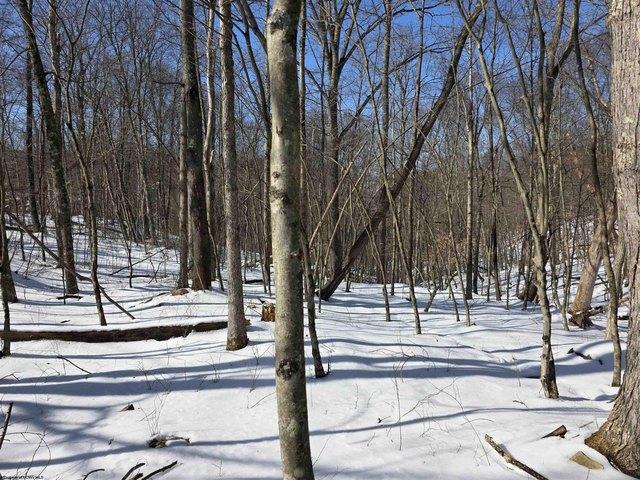 Land for sale in Grafton, West Virginia